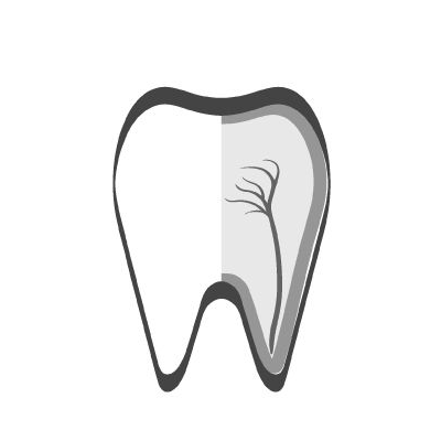 Endodontie